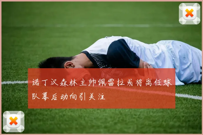 诺丁汉森林主帅佩雷拉或将离任球队幕后动向引关注