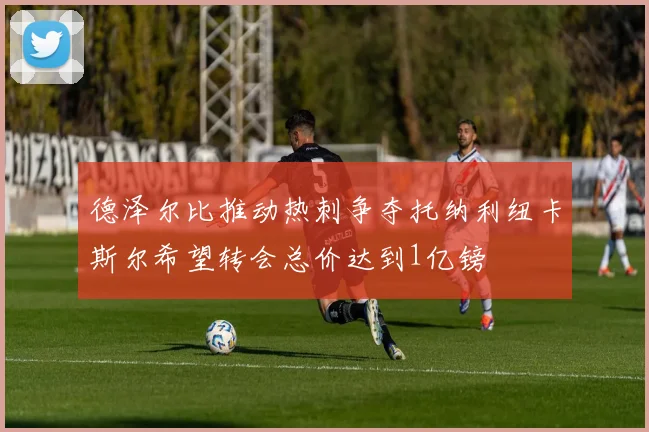 德泽尔比推动热刺争夺托纳利纽卡斯尔希望转会总价达到1亿镑